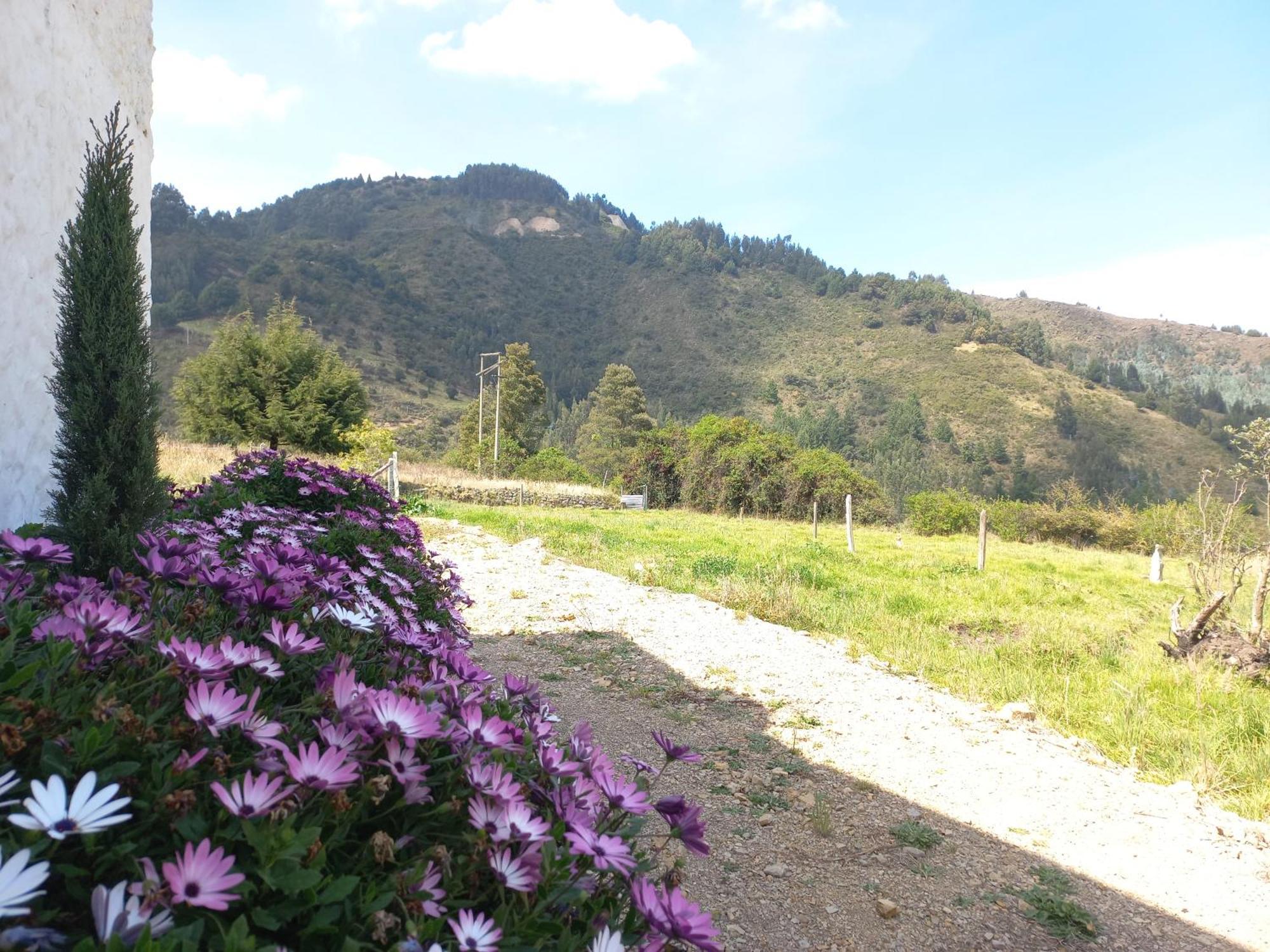 Hospedaje Y Camping Del Rio Monguí Esterno foto