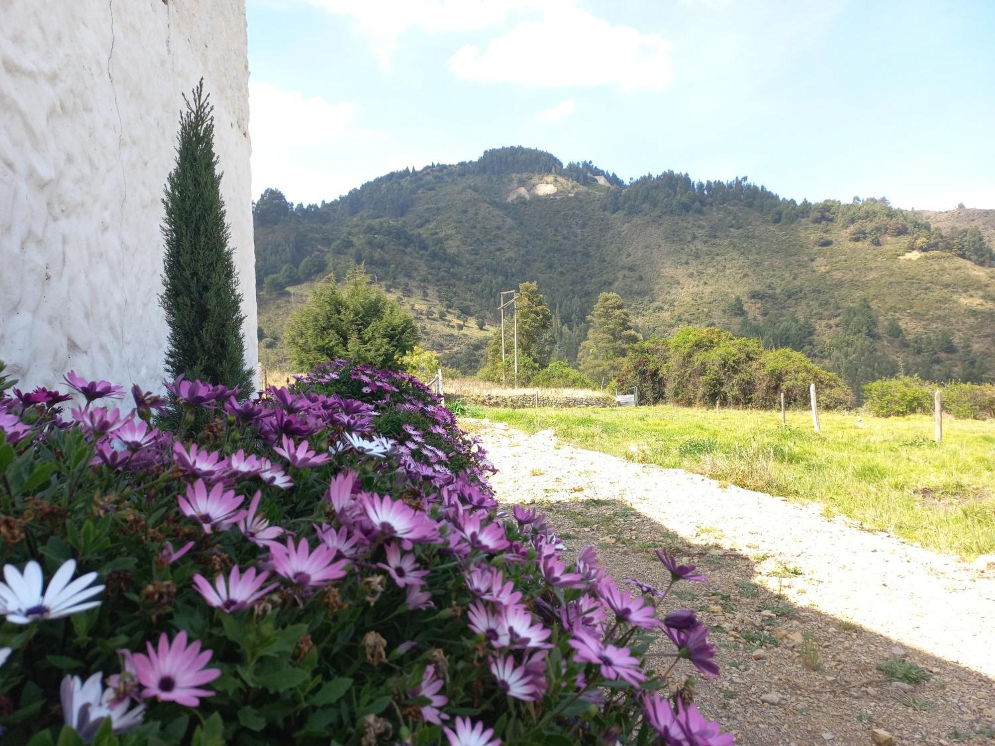Hospedaje Y Camping Del Rio Monguí Esterno foto