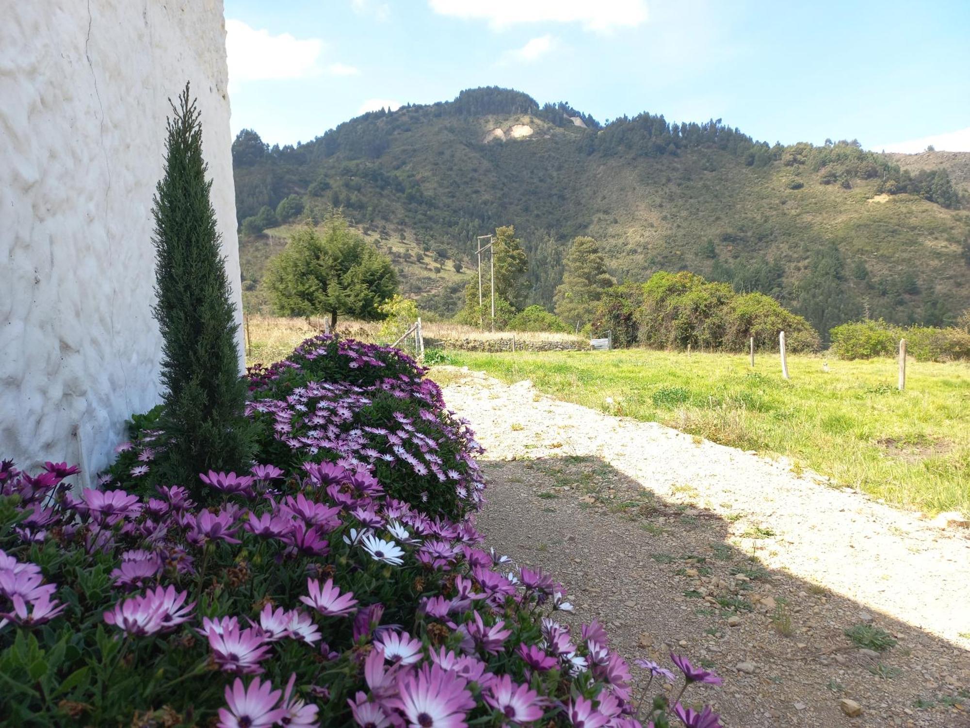 Hospedaje Y Camping Del Rio Monguí Esterno foto